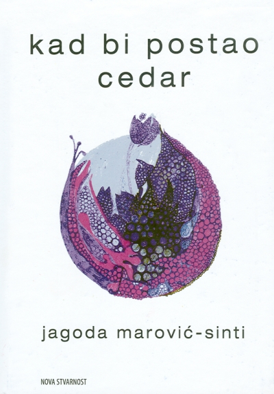 Kad bi postao cedar