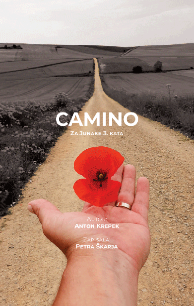 Camino