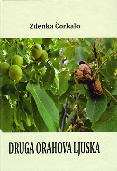 Druga orahova ljuska