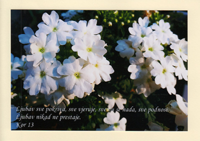 Čestitka s porukom - 27