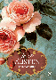 Uvjeravanje – 250. godina Jane Austen