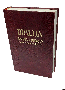 Biblija - veliki format, tvrdi PU uvez, bordo
