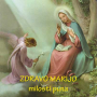 Zdravo Marijo - slikovnica